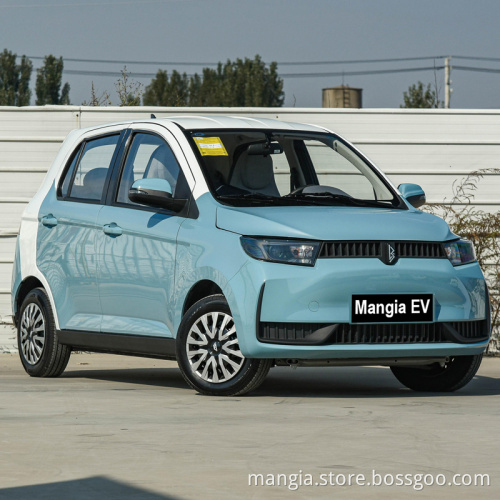 New energy vehicles 5 doors 4 seats left turn new cars to be sold in 2022 high-quality rechargeable Chinese electric car